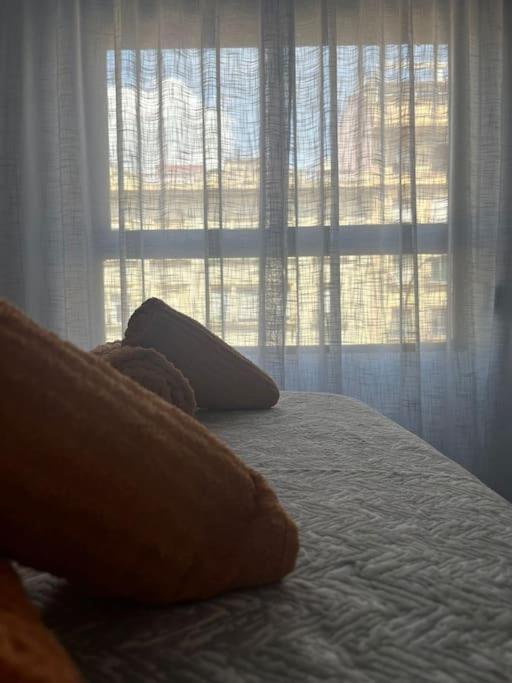 Apartamento Medina Azahara Córdoba Kültér fotó